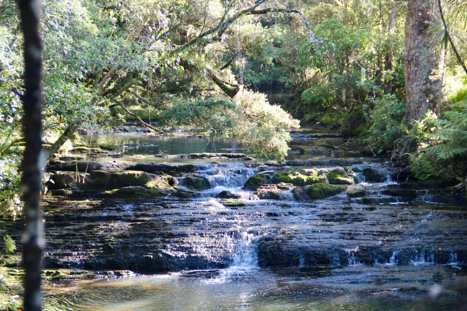Matakana Water | Our Water